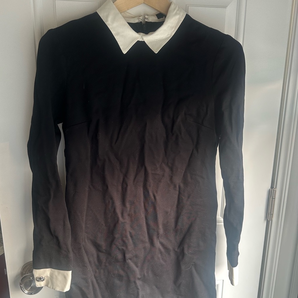 Cynthia Steffe Collared Dress